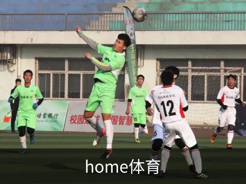 了解home体育